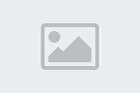 Orlando Crowd Calendar January 2025 Images References :